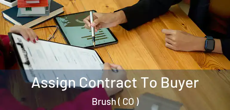 Assign Contract To Buyer Brush ( CO )