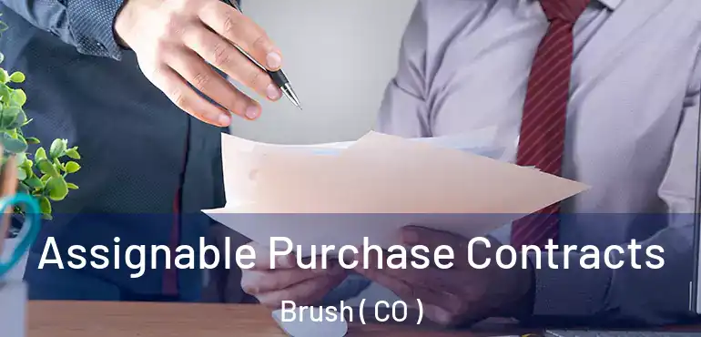 Assignable Purchase Contracts Brush ( CO )