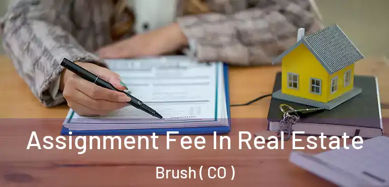 Assignment Fee In Real Estate Brush ( CO )