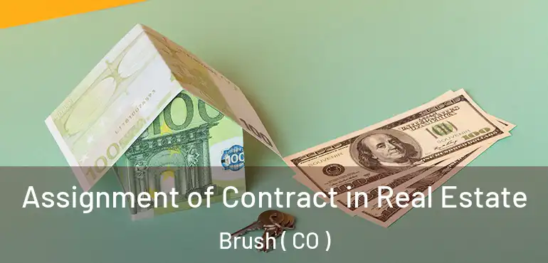 Assignment of Contract in Real Estate Brush ( CO )