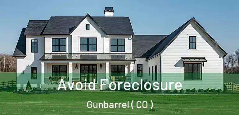 Avoid Foreclosure Gunbarrel ( CO )