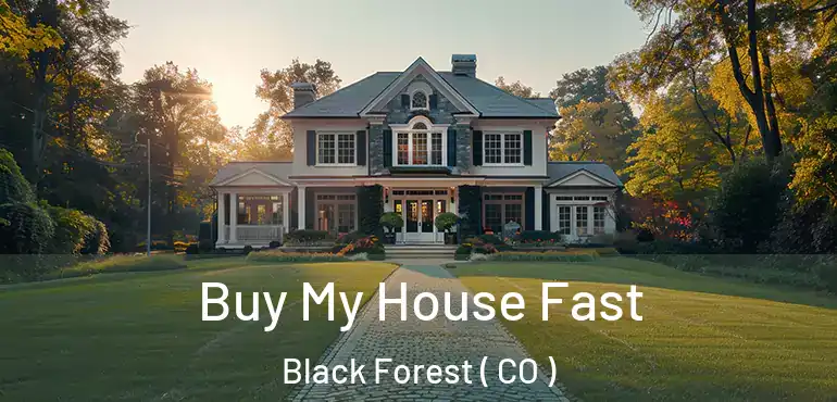 Buy My House Fast Black Forest ( CO )