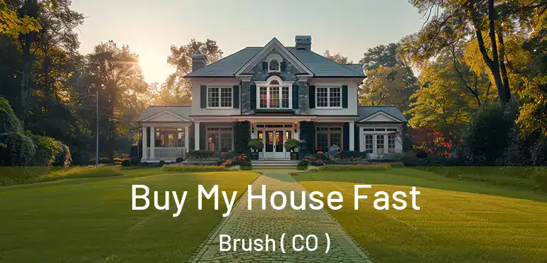 Buy My House Fast Brush ( CO )