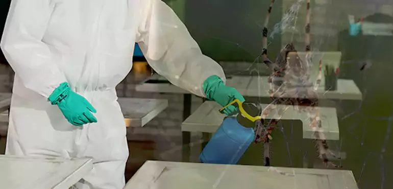 Why Buyers Still Want Homes With Pest Infestations in Colorado, CO?