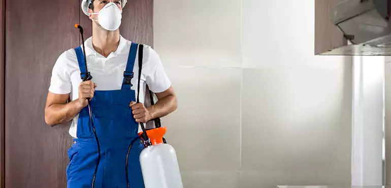 Why Colorado Homeowners Choose Us When Pests Make Selling Difficult