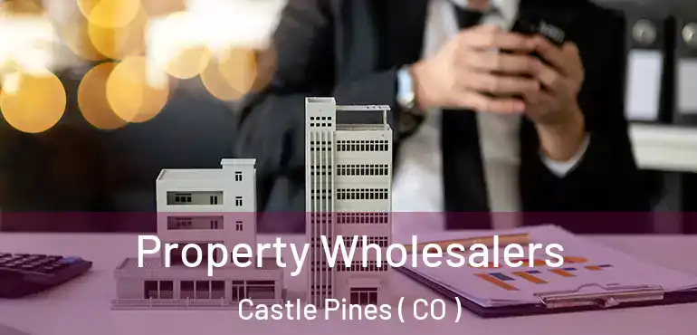 Property Wholesalers Castle Pines ( CO )