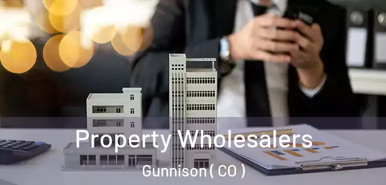 Property Wholesalers Gunnison ( CO )