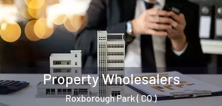 Property Wholesalers Roxborough Park ( CO )