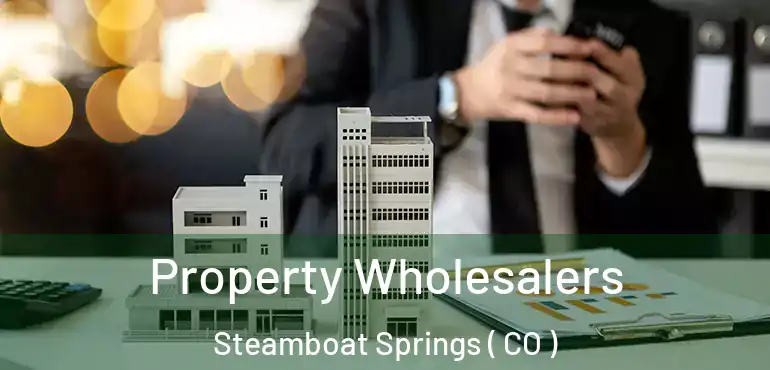Property Wholesalers Steamboat Springs ( CO )