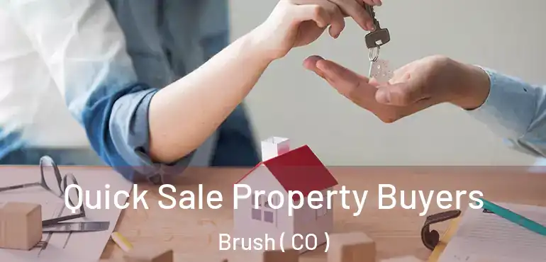 Quick Sale Property Buyers Brush ( CO )