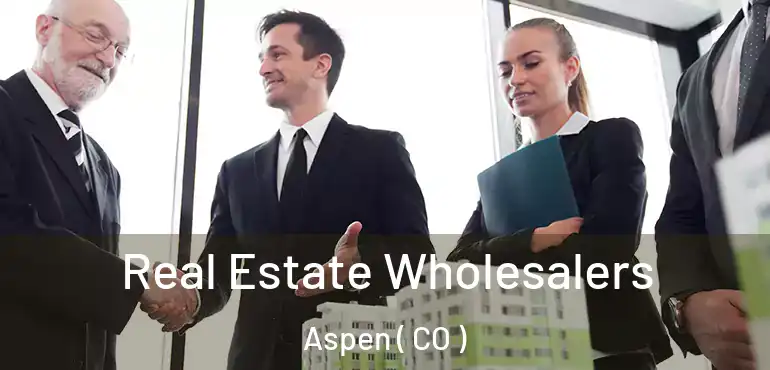 Real Estate Wholesalers Aspen ( CO )
