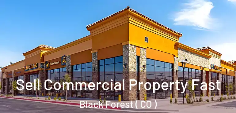 Sell Commercial Property Fast Black Forest ( CO )