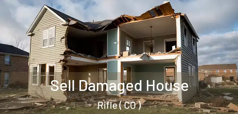Sell Damaged House Rifle ( CO )