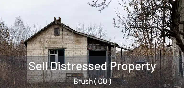 Sell Distressed Property Brush ( CO )