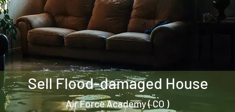  Sell Flood-damaged House Air Force Academy ( CO )