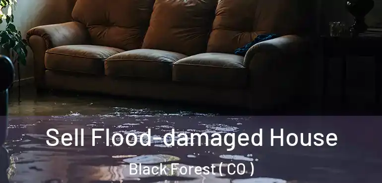Sell Flood-damaged House Black Forest ( CO )
