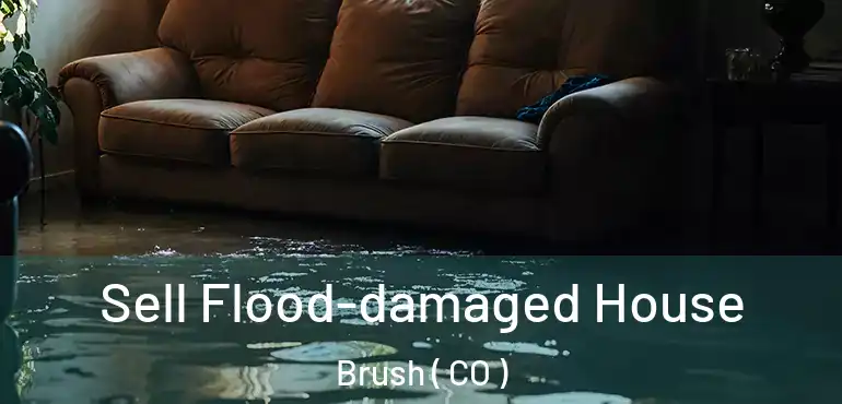 Sell Flood-damaged House Brush ( CO )