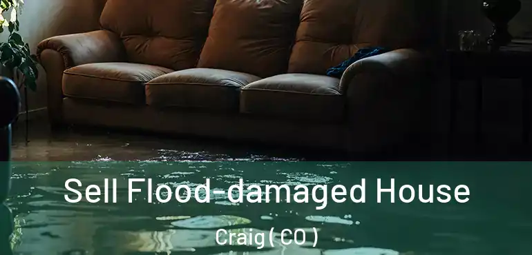 Sell Flood-damaged House Craig ( CO )