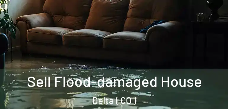Sell Flood-damaged House Delta ( CO )