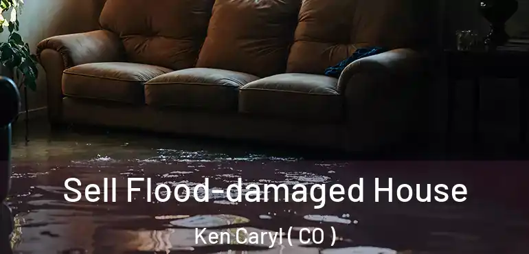 Sell Flood-damaged House Ken Caryl ( CO )