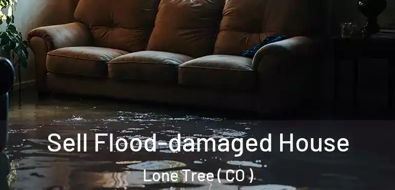 Sell Flood-damaged House Lone Tree ( CO )