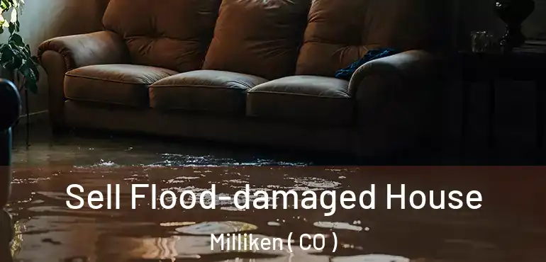 Sell Flood-damaged House Milliken ( CO )