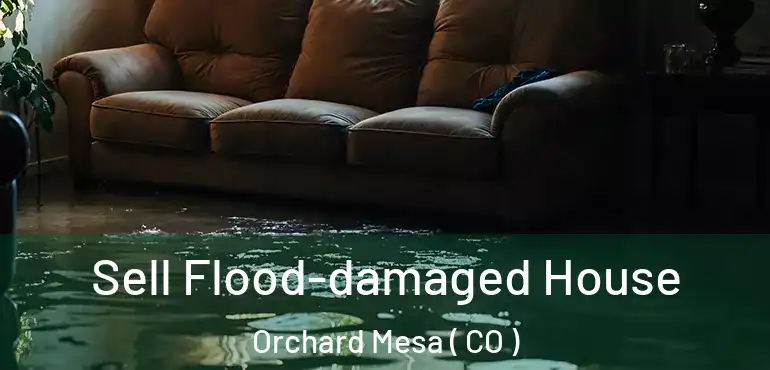  Sell Flood-damaged House Orchard Mesa ( CO )