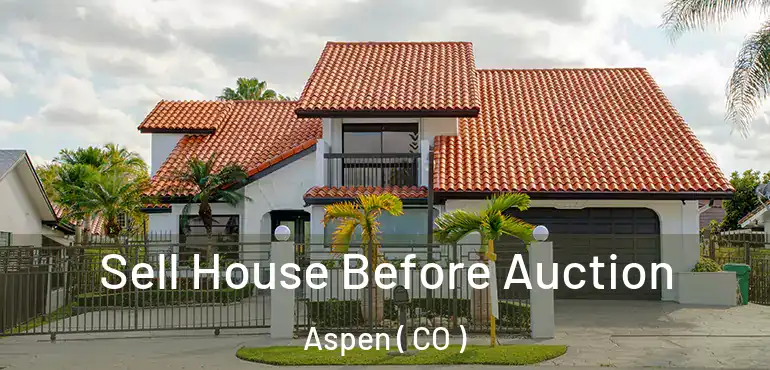 Sell House Before Auction Aspen ( CO )