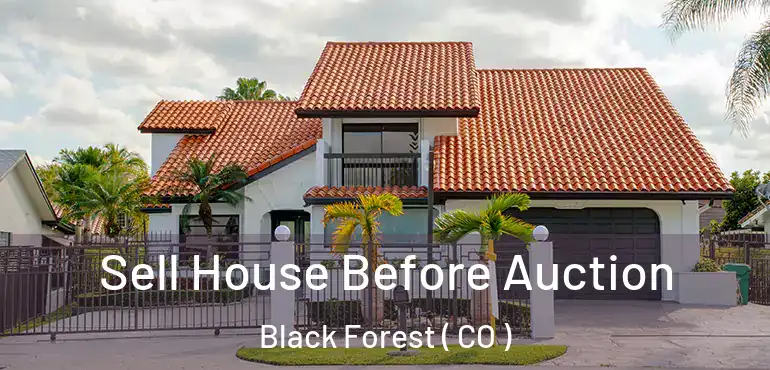 Sell House Before Auction Black Forest ( CO )