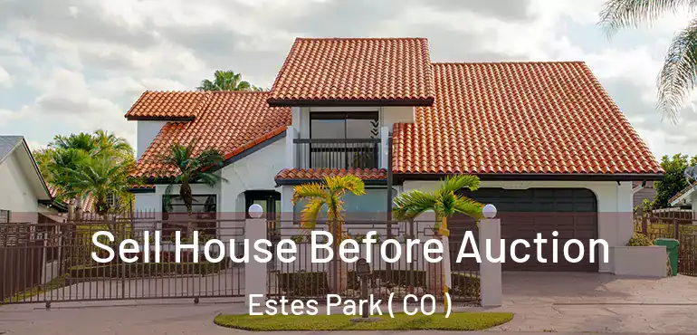 Sell House Before Auction Estes Park ( CO )
