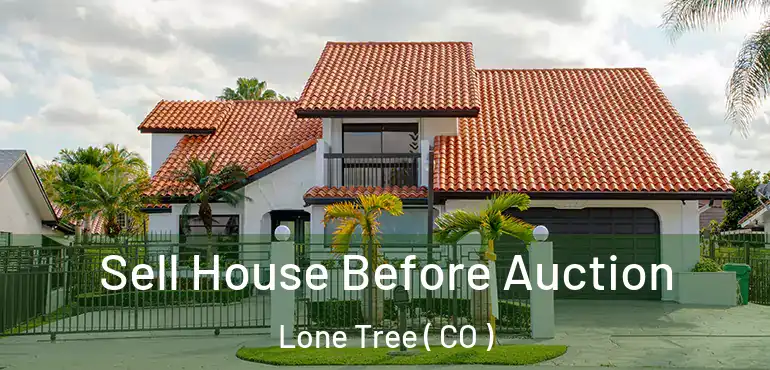 Sell House Before Auction Lone Tree ( CO )