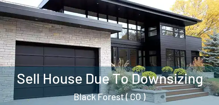 Sell House Due To Downsizing Black Forest ( CO )