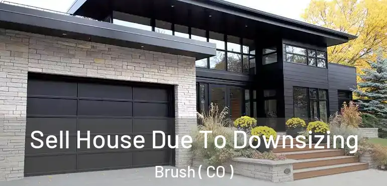 Sell House Due To Downsizing Brush ( CO )