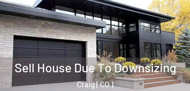 Sell House Due To Downsizing Craig ( CO )