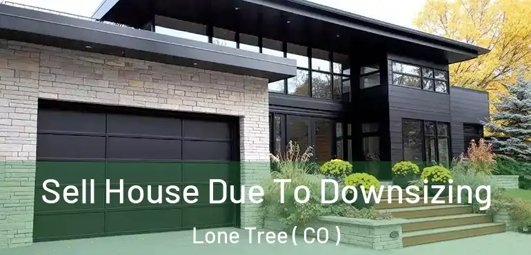 Sell House Due To Downsizing Lone Tree ( CO )