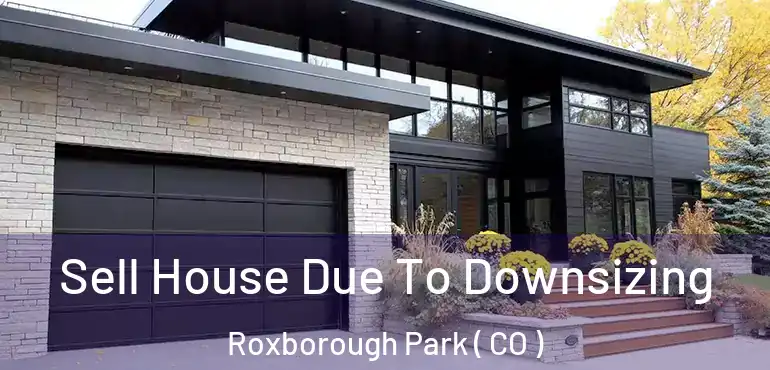 Sell House Due To Downsizing Roxborough Park ( CO )