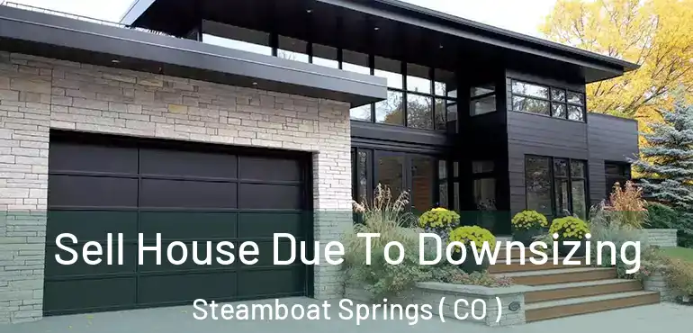 Sell House Due To Downsizing Steamboat Springs ( CO )