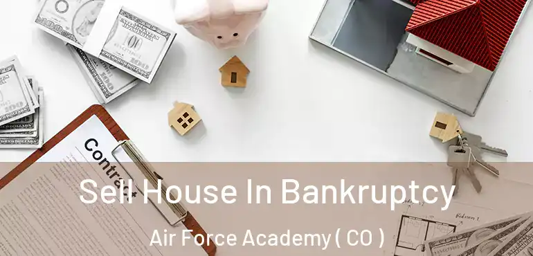 Sell House In Bankruptcy Air Force Academy ( CO )