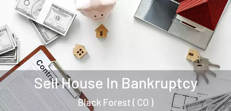 Sell House In Bankruptcy Black Forest ( CO )