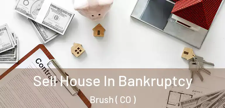 Sell House In Bankruptcy Brush ( CO )