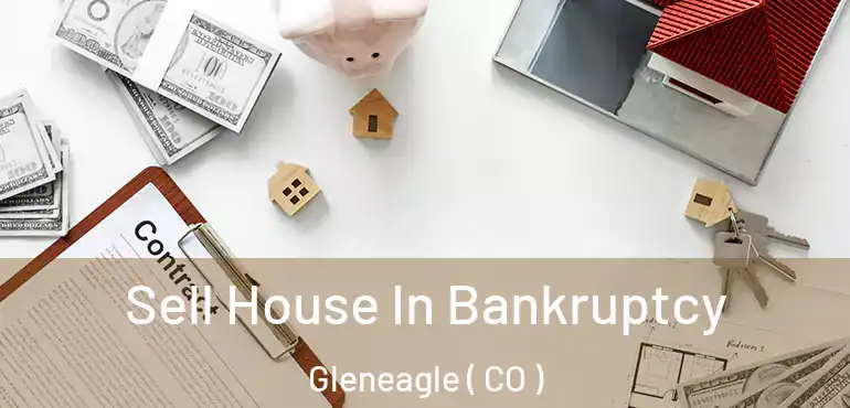 Sell House In Bankruptcy Gleneagle ( CO )