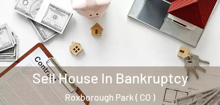 Sell House In Bankruptcy Roxborough Park ( CO )
