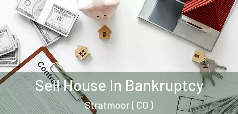 Sell House In Bankruptcy Stratmoor ( CO )