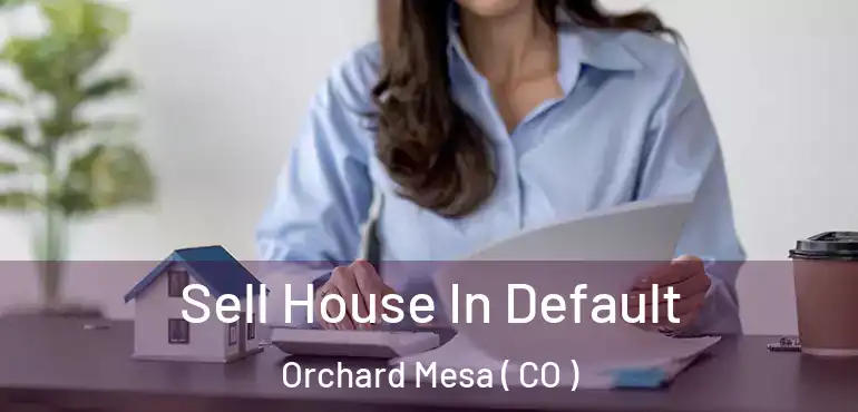 Sell House In Default Orchard Mesa ( CO )