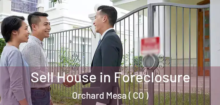 Sell House in Foreclosure Orchard Mesa ( CO )