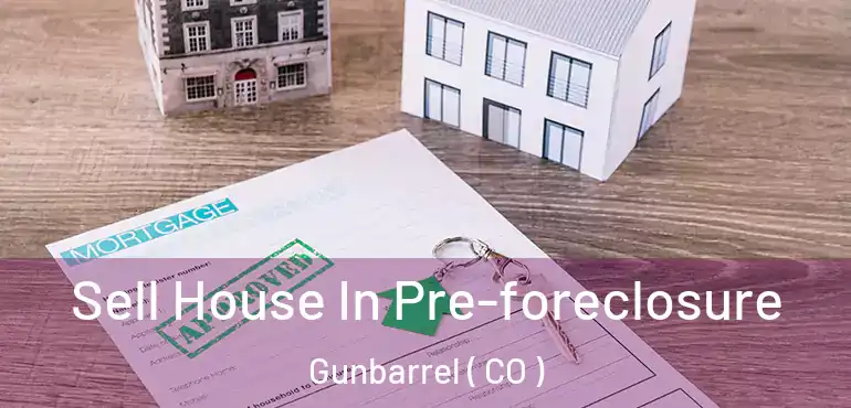 Sell House In Pre-foreclosure Gunbarrel ( CO )