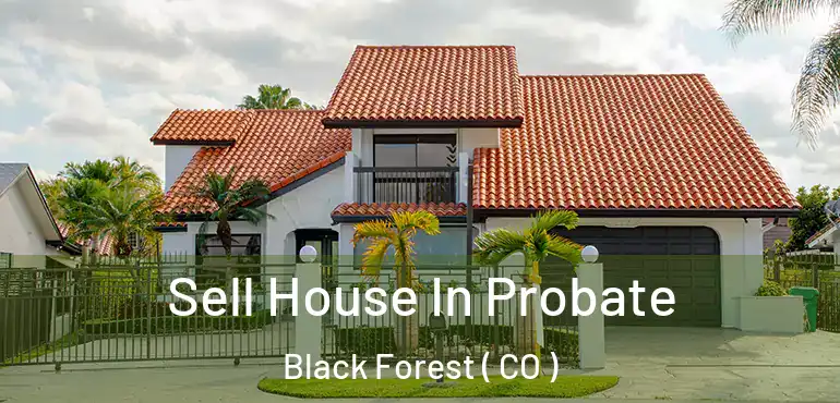Sell House In Probate Black Forest ( CO )