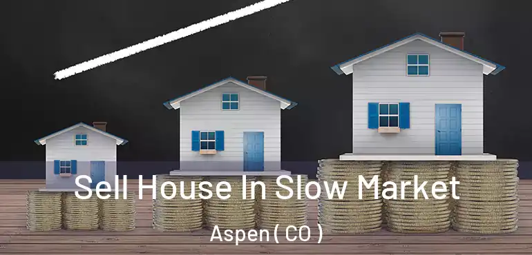 Sell House In Slow Market Aspen ( CO )