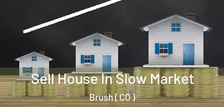 Sell House In Slow Market Brush ( CO )