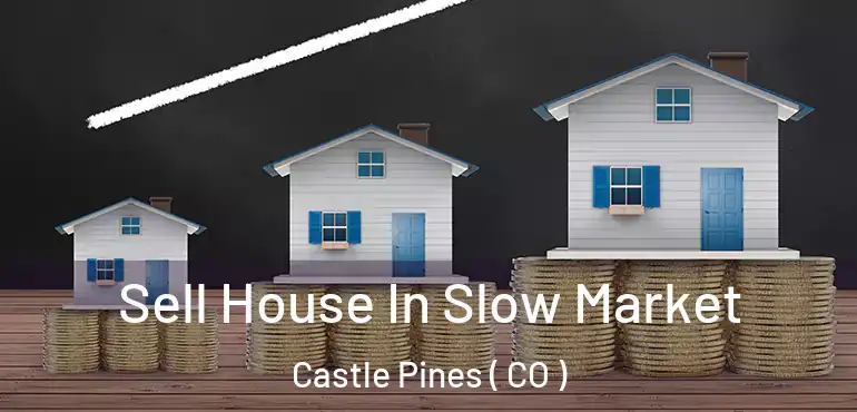 Sell House In Slow Market Castle Pines ( CO )